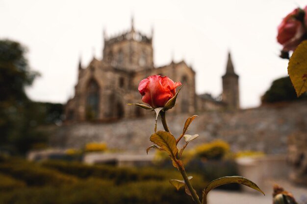 sant jordi desvalls