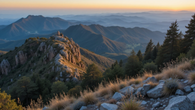 sierra de collserola