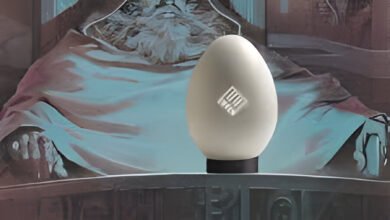 enron egg