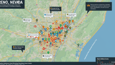 reno shooting map