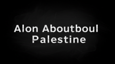 alon aboutboul palestine