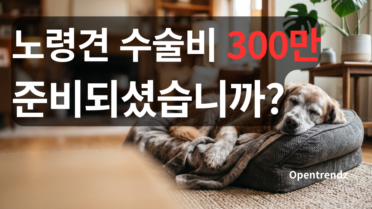 노령견 펫보험 가입조건